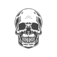 skull vector art illustration design
