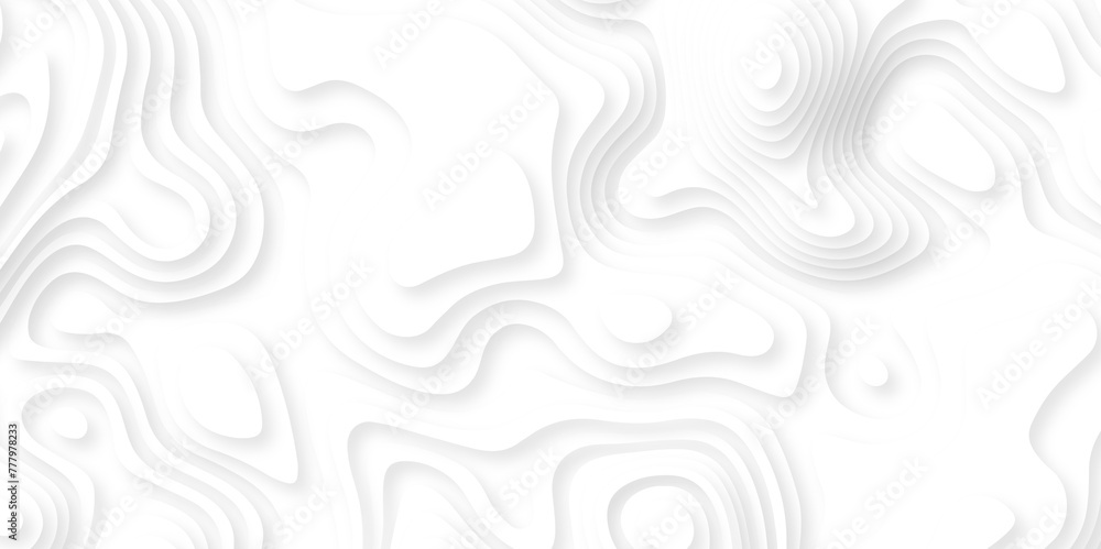 Poster abstract white paper cut background with lines. background of the topographic map. white wave paper 