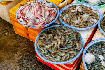 Fresh squid and shrimp at the market