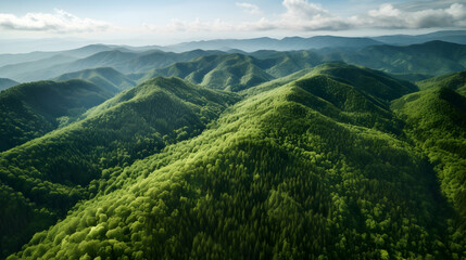 Scenic aerial view of the mountain landscape with a forest