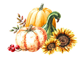 Autumn composition with pumpkins, sunflower flowers and red berries. Hand drawn watercolor illustration, isolated on white background 