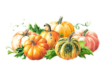 Fresh ripe decorative pumpkins or squash with leaves. Watercolor hand drawn illustration isolated  on white background - 777991871