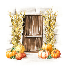 Old Door, decorated with fall pumpkins and dried corn stems, autumn festival concept. Hand drawn watercolor illustration, isolated on white background - 777992017