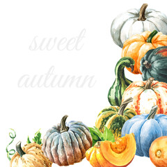 Sweet autumn card. Fresh ripe decorative colorful pumpkins or squash. Watercolor hand drawn illustration, isolated  on white background - 777992237