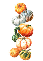 Sweet autumn vertical conposition. Fresh ripe decorative colorful pumpkins or squash. Watercolor hand drawn illustration isolated  on  white background - 777992273