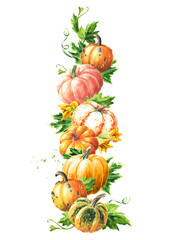 Sweet autumn vertical conposition. Fresh ripe decorative colorful pumpkins or squash. Watercolor hand drawn illustration isolated  on white background - 777992279
