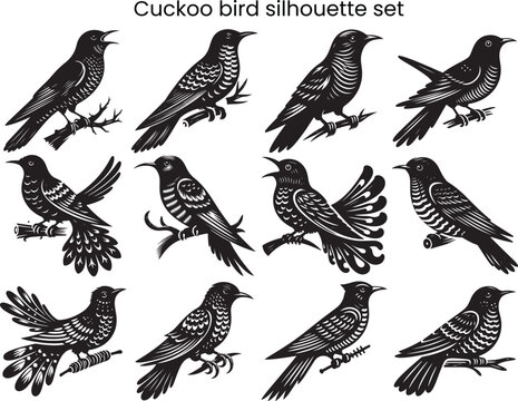 Set of cuckoo bird silhouette vector
