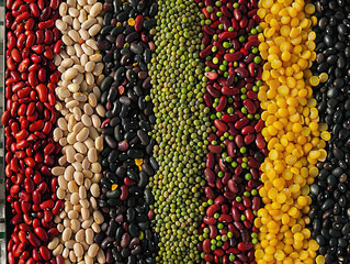 multicolored beans on the tray, Natural grains and cereals like green bean soybean red bean  AI