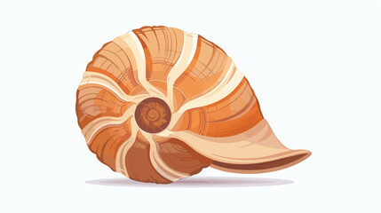 Brown sea spiral seashell an empty shell of a sea moll - obrazy, fototapety, plakaty
