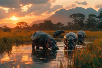 Deurstickers rhino at sunset © Gau