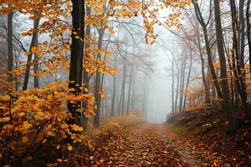 A foggy forest path strewn with autumn leaves, Ai generated - obrazy, fototapety, plakaty