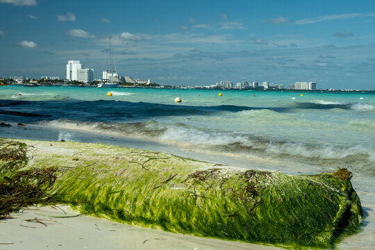 Cancun - Perełka Meksyku 