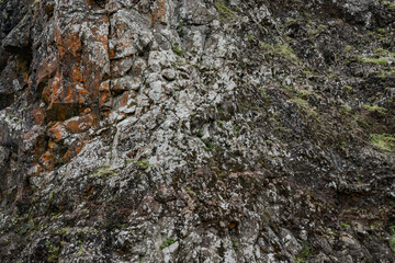 Koolau Basalt，Dike complex	,  Closely spaced dikes, wallrock	Nuʻuanu Pali Lookout， Oahu Hawaii
