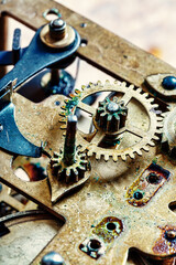 Intricate gears mesh within the watch's core