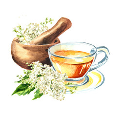 Herbal tea with fresh Meadowsweet or Spiraea ulmaria medical herb, plant and flower.  Hand drawn watercolor  illustration isolated on white background - 778002685