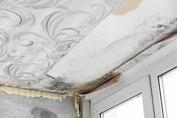 Development of mildew under wallpaper in corner of old house.