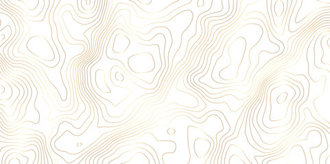 White background topography golden lines gradient abstract vector background - obrazy, fototapety, plakaty