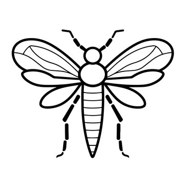 Intricate insect outline vector icon.