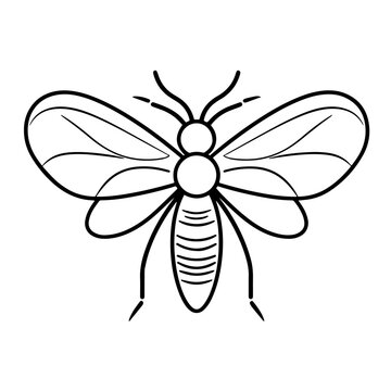 Intricate insect outline vector icon.