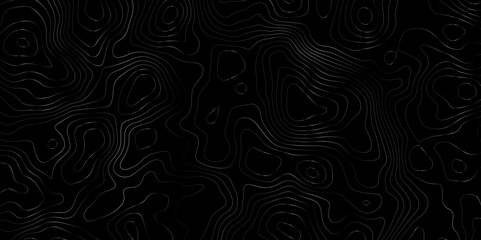 Fototapeta na wymiar Black background topography topology vector design abstract map design