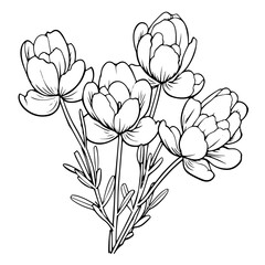 Delicate outline icon of freesias, perfect for floral-themed designs.