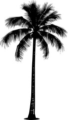 Palm Tree Silhouette Illustration