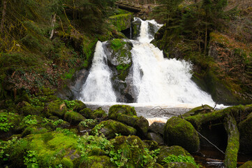 Triberg waterfall in the Black Forest, highest fall in Germany, Gutach river plunges over seven major steps into the valley, wooden bridge
- 778015833