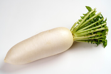 加賀野菜の一つ・源助大根