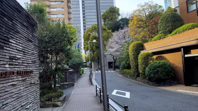 Walking at yokohama residential neighborhood city asphalted trees urban houses and greenery POV