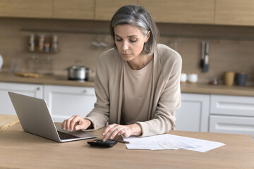Focused middle aged woman check family budget standing at kitchen table, make e-bank on-line...