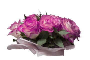 Isolated bouquet of fuchsia color roses on a white background	