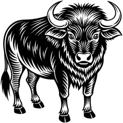 black and white illustration of a bull