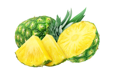 パイナップルのイラスト リアル