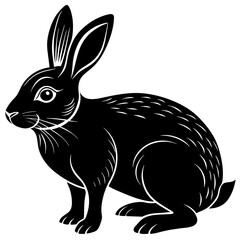 black and white rabbit