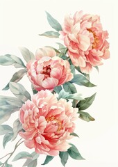 Professional watercolor peony bouquet frame for wedding cards,