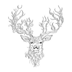 deer head silhouette, abstract vector line art 