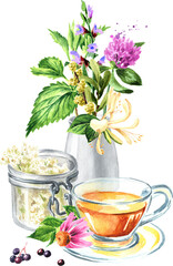 Medicinal plants for Herbal homemade tea. Alternative medicine , herbal collection. Hand drawn watercolor illustration  isolated on white background 