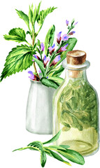 Herbal homemade organic tincture from fresh sage leaves. Hand drawn watercolor illustration isolated on white background