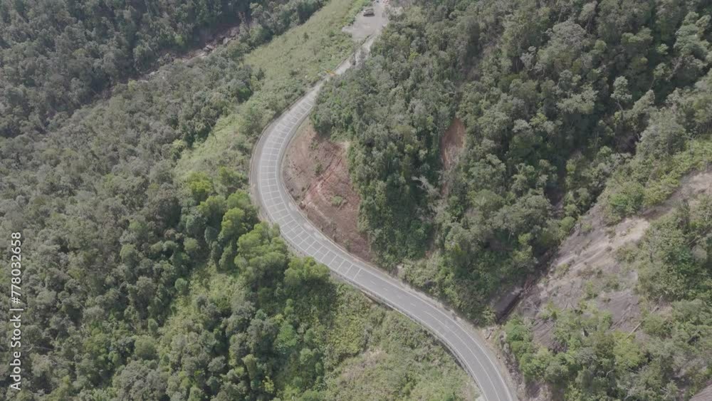 Poster a winding road with trees in the background. the road is surrounded by a forest and the trees are ta