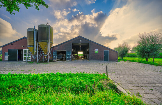 Dutch farm located at the edge of the village of Aarle-Rixtel, Noord-Brabant, The Netherlands.