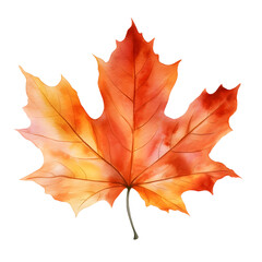 Obraz premium Autumn forest maple leaf, watercolor.