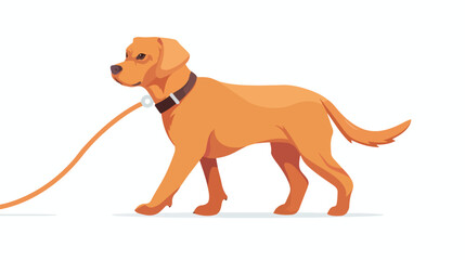 Dog. Dog for a walk. Stock raster illustration flat vector