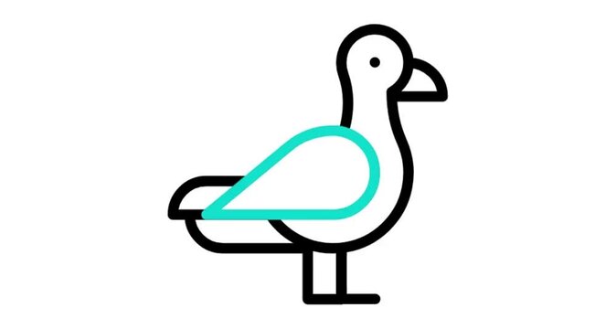 bird animated icon videos