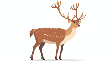 Elegant noble sika deer. Reindeer with antlers on white