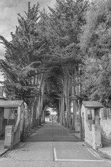 Dublin, Ireland - November 25 2024 