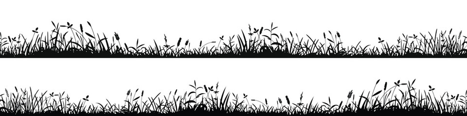 Drawn wild grass isolated on white background, seamless border, vector design - obrazy, fototapety, plakaty