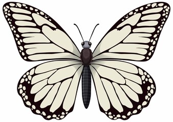 Elegant Monarch Butterfly Illustration