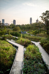 Sunset in the afternoon at Benchakitti Park. Golden hour view in the park with pathway and nature all around