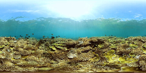 Tropical sea and coral reef. Underwater Fish and Coral Garden. Underwater sea fish. Virtual Reality 360.