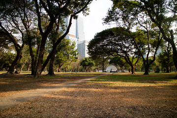 Lumpini park, where people come to relax exercise or meeting. Bangkok, Thailand